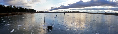 Ryb_25.12.2015-5.jpg