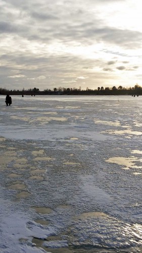 Ryb_28.12.2015-1.jpg