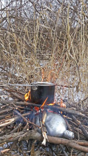Ryb_28.12.2015-2.jpg