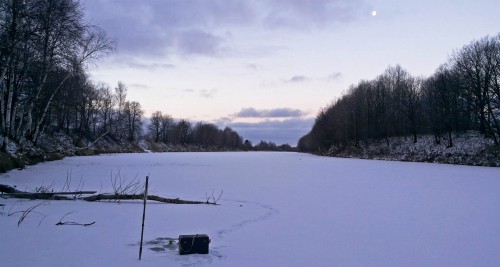Ryb_30.12.2015-1.jpg