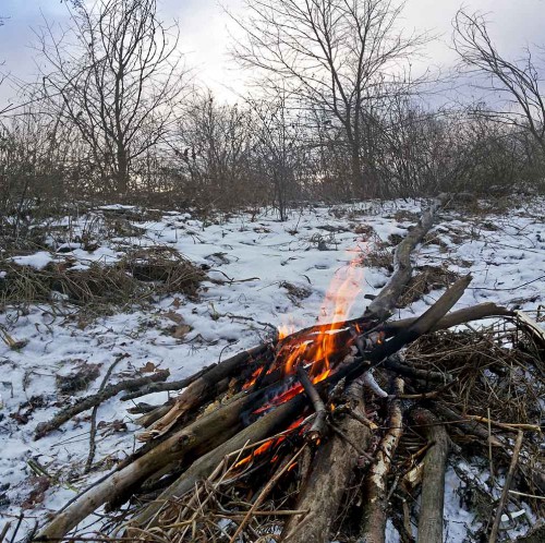 Ryb_30.12.2015-4.jpg