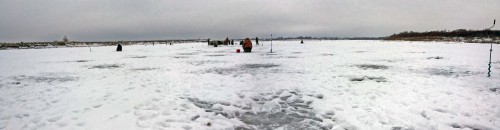 Ryb_08.01.2016-1.jpg