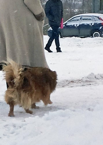 Ryb_10.01.2016-3.jpg