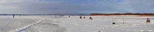 Ryb_14.01.2016-1.jpg