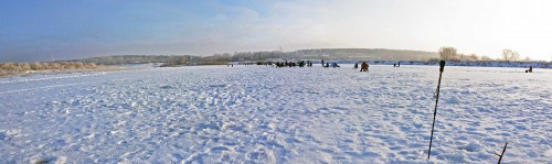Ryb_16.01.2016-1.jpg