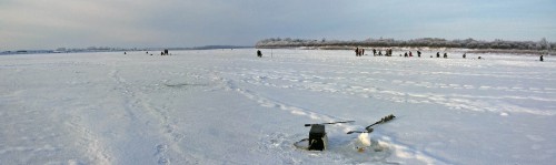 Ryb_16.01.2016-2.jpg