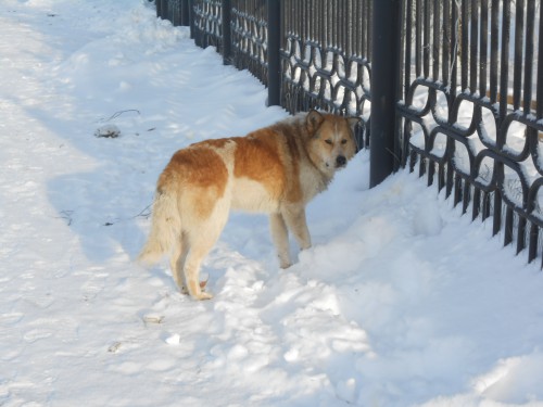 DSCN1037.JPG
