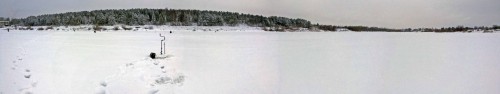 Ryb_20.01.2016-1.jpg