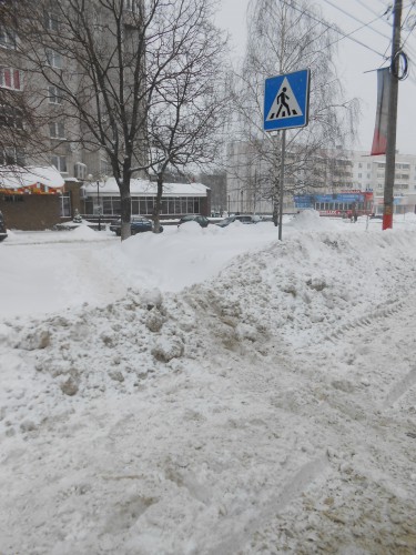 DSCN1087.jpg