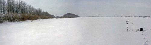 Ryb_23.01.2016-2.jpg