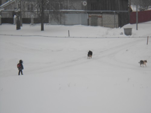 DSCN1113.jpg