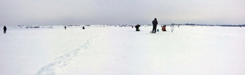 Ryb_28.01.2016-2.jpg