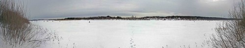 Ryb_28.01.2016-2.jpg