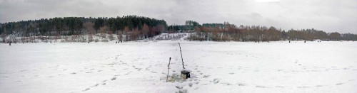 Ryb_31.01.2016-1.jpg