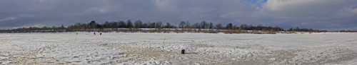 Ryb_02.02.2016-1.jpg