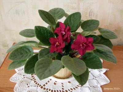 DSCN8875a.jpg