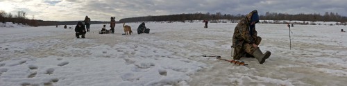 Ryb_04.02.2016-1.jpg