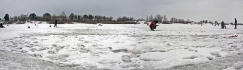Ryb_06.02.2016-1.jpg
