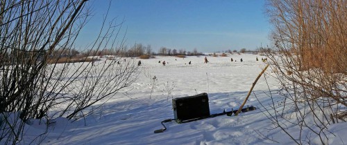 Ryb_08.02.2016-1.jpg