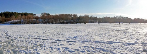 Ryb_08.02.2016-2.jpg