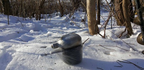 Ryb_08.02.2016-3.jpg
