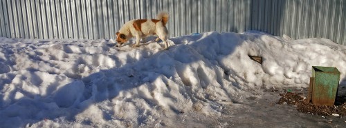 Ryb_08.02.2016-5.jpg