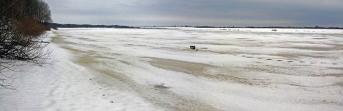 Ryb_10.02.2016-1.jpg