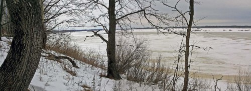 Ryb_10.02.2016-2.jpg