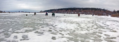 Ryb_12.02.2016-1.jpg