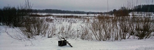 Ryb_13.02.2016-2.jpg
