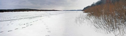Ryb_13.02.2016-4.jpg