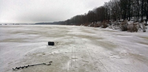 Ryb_15.02.2016-1.jpg