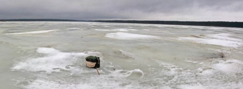 Ryb_16.02.2016-1.jpg