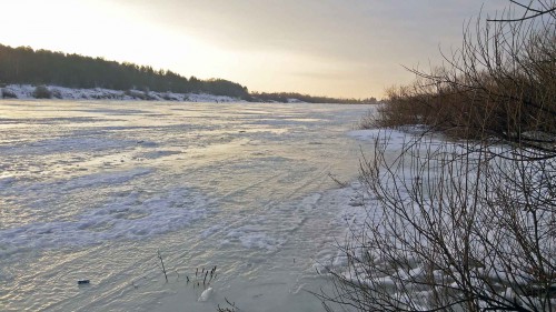 Ryb_20.02.2016-1.jpg