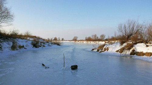 Ryb_20.02.2016-2.jpg