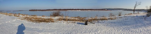 Ryb_20.02.2016-5.jpg