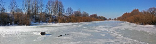 Ryb_20.02.2016-6.jpg
