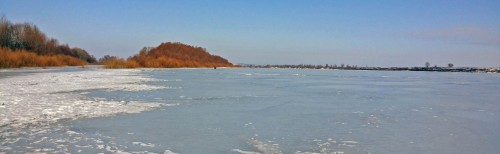 Ryb_20.02.2016-7.jpg
