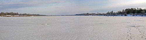 Ryb_21.02.2016-1.jpg