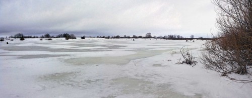 Ryb_23.02.2016-1.jpg