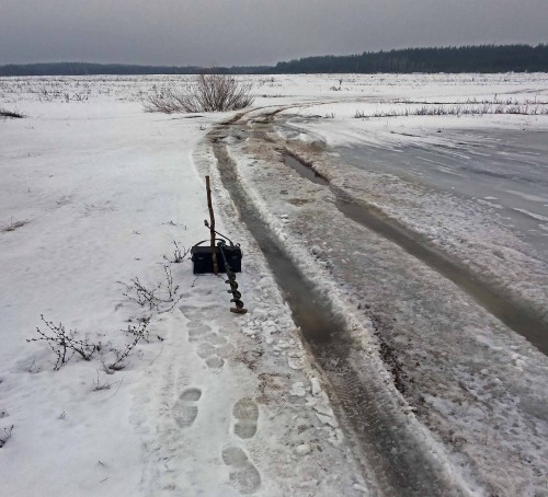 Ryb_24.02.2016-2.jpg