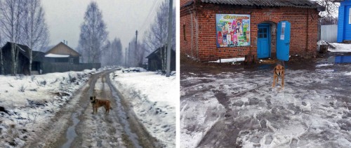 Ryb_24.02.2016-6.jpg
