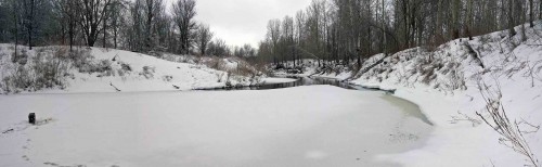 Ryb_26.02.2016-5.jpg