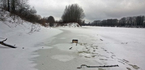Ryb_26.02.2016-6.jpg