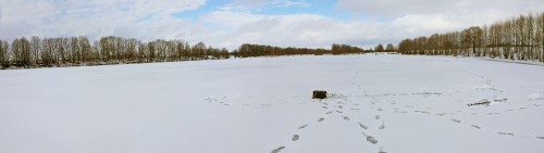 Ryb_26.02.2016-8.jpg