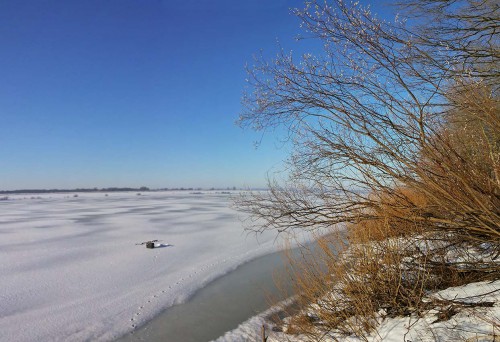 Ryb_28.02.2016-1.jpg