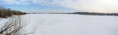Ryb_01.03.2016-1.jpg