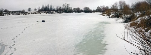 Ryb_03.03.2016-2.jpg