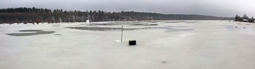 Ryb_07.03.2016-1.jpg