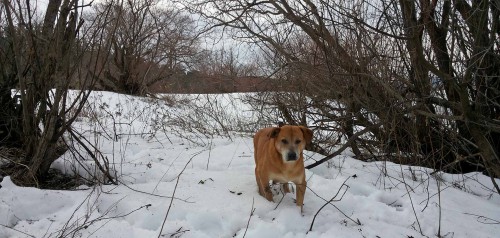 Ryb_09.03.2016-4.jpg
